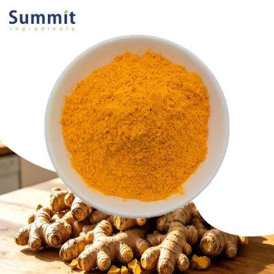 Wholesale Bulk Turmeric Root Extract Powder Curcuma Longa Extract Turmeric Extract Curcuminoids 95% HPLC for Health Supplement