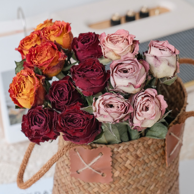 Factory Sale Widely Used Rose Flower Eternal Rose for Flower Arrangement Dried Flower Dried Rose Bouquet