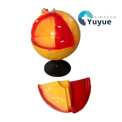 Sun Internal Structure Model, 3D Solar Layer Teaching Aid for Geography & Astronomy Education