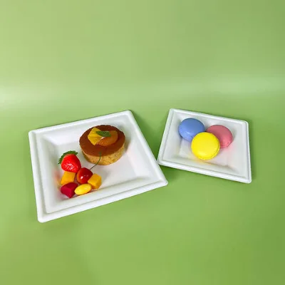 Biodegradable Square Sugarcane Cake Plate Bagasse Pulp Tableware Sugarcane Baggesse Plates 6 Inch Bagass Supplier Food Plate