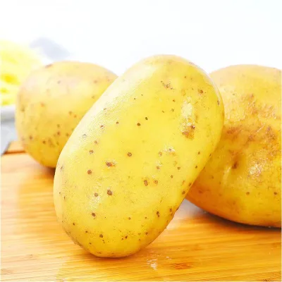 Wholesale Organic Sweet Fresh Potatoes-Cheap Price for Sales