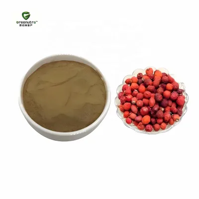 Rose Hip Extract Powder 5% Vitamin C Natural Fruit Extract for Dietary Supplements and Food Beverage Food Grade