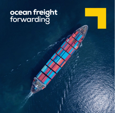 Free EU Warehouse Storage and Fulfillment for Independent Sellers with Fast Relabeling and Transfer