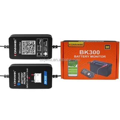 Customizable Car Battery Monitor BK300 with Hort-Circuit Protection & IP68 Waterproof