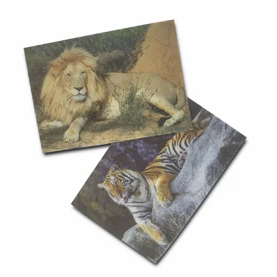 3D Lenticular Postcards Promotion Souvenirs Lenticular 3D Postcard