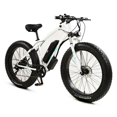 High Quality 21 Speed Electric Mountain Bicycle 26 Inch Aluminum Hybrid Bike with 36V/10.4ah 250W Motor
