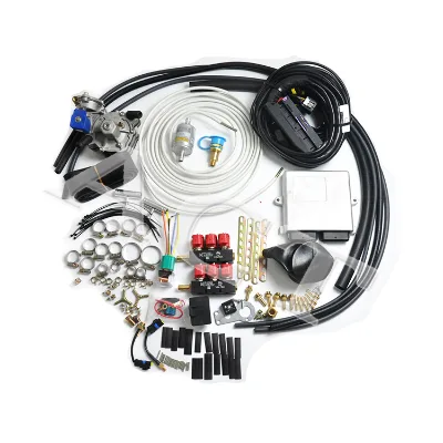 ACT 6 Cylinder lpg Gas Equipment for Auto Engine System De Gas lpg Kit De Conversion lpg Kit Conversion Multipoint