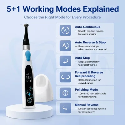 Low MOQ Portable Auto Reverse Wireless Root Canal Motor Endodontic Motor Endodontic Treatment Motor for Dental Surgery