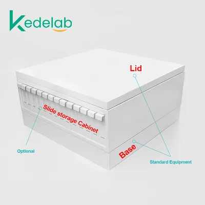 Microscope Slide Unground Edges Storage Cabinet of Pathology