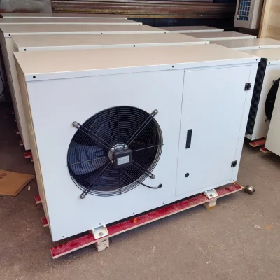 China Manufactory Heat Exchanger Cold Evapor Roomcondensing Unit for Deep Freezer Storage