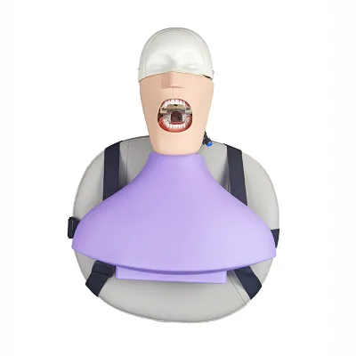 High Quality Dental Simulation Lab Nissin Manikin Phantom Head Model