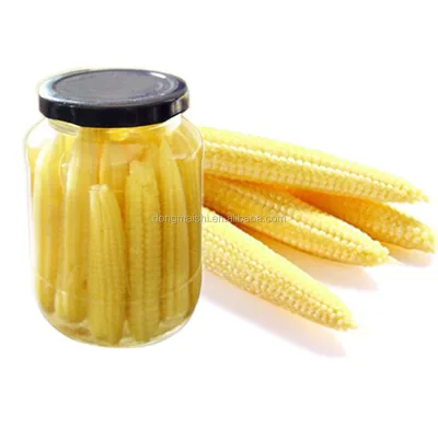 Canned Fresh Baby Corn/baby Corn in Glass Jar Rich in Protein