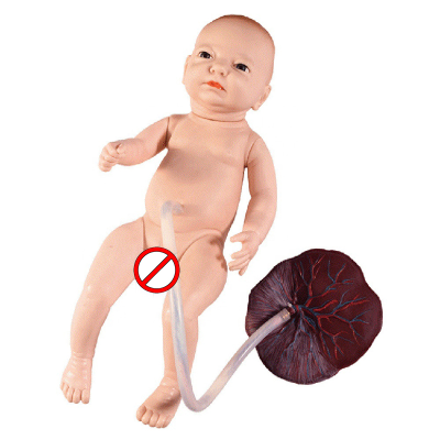 Realistic Baby Advanced Neonatal Umbilical Cord Care Model for Nursing Practice