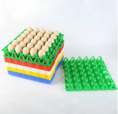 High-quality Plastic Egg Tray - 30 Egg Holders for Transportation Trays