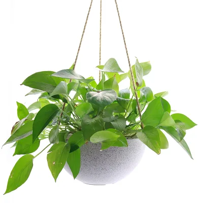 Ceramic Plastic Hanging Planters Indoor Outdoor Hanging Pots for Plants Hanging Succulent Planters with Drainage