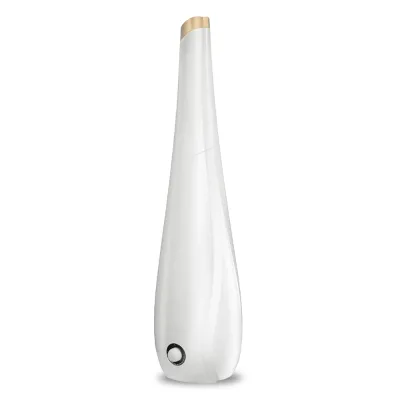 Portable LED Light H2o Spray Mist Humidifier Double Wet Aroma Essential Oil Diffuser Air Humidifier