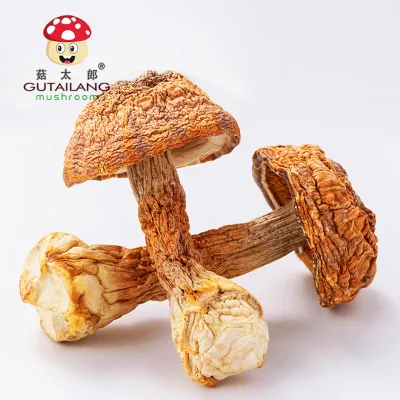 Factory Wholesale Agaricus Blazei Murill Dried Mushroom High Quality Agaricus Blazei Agaricus Blazei Murrill Dried Mushroom