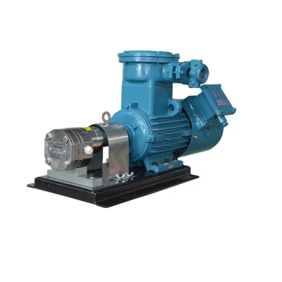 Precision Gear Metering Pump
