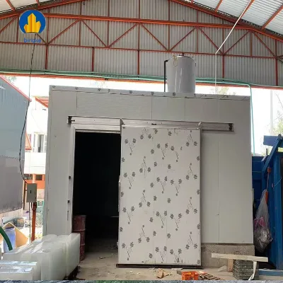 20ft & 40ft Monoblock Cold Room Refrigerated Cold Storage Container for Retail & Home Use Industries