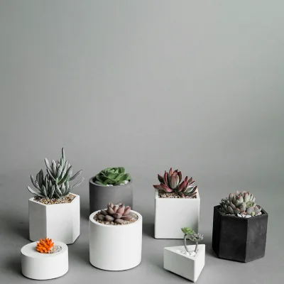 Modern Custom Logo Color Nordic White Minimalist Hexagon Flower Pot Eco-Friendly Concrete High-Quality Decor Vase Wholesale