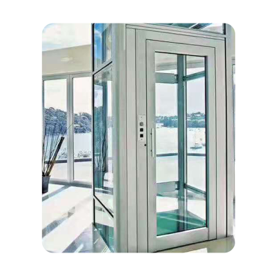 400kg Modern Popular Lift for 4 People Equipped With Light Screen Elevator China Made Elevator