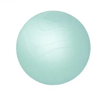 HAPBEAR PVC Exercise Ball (55mm)-Non-Slip Surface Pump & 3 Bands Included for Yoga Pilates Fitness & Rehabilitation