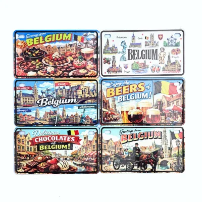 Custom Colorfu Aluminum License Plate Magnet With Printed Embossed Design in 10.3 X 5.8 CM for Tourist Souvenir Shops