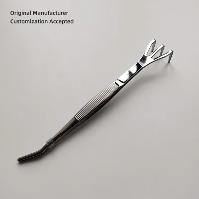Customized Premium Stainless Steel Tweezers and Root Rake 2 in 1 with Serrated Tips 210mm Long for Bonsai Tree Gardening