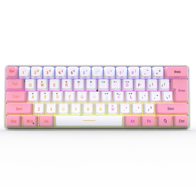 SAMA Silent Switch Keyboard 60% Rgb Backlit Gaming Keyboard PC Laptop for Ipad Windows USB Type C Membrane Wired 25 Keys 61 Keys