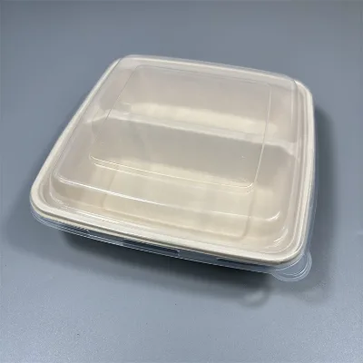 Disposable Sugarcane Bagasse Meal Tray Rectangle Lunch 2 Compartment Trays with Clear Lids