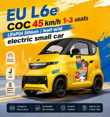 Chinese Manufacturer 2 Seats 100 km Electric Mini Car Four Wheeled Vehicle with 2kw Motor