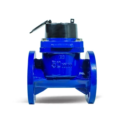 63mm Impulse Dry Type Water Meter Class a IP68 OEM Cast Iron Housing Flanged Connection