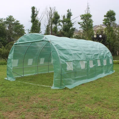 Cheap Vegetable Garden Flower Mini Hoop Polytunnel Greenhouse 6x3x2m With 1 Doors