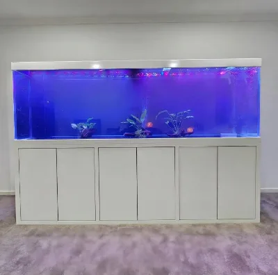 Luxury Modern Indoor Arowana Fish Tank 6Ft 8Ft Big Size Fish Tank For Home