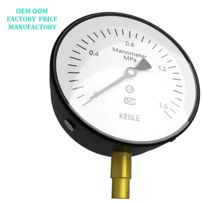 Pressure Transmitters and Pressure Gage for Pressure Testing Food and Beverage Industry with Hygienic Design