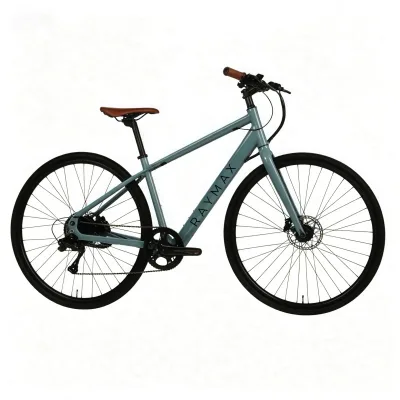 700C Electric City Bike 350W Rear Hub Motor L-TWOO 9 Speed Hydraulic Disc Brake Aluminum Alloy Classic Kenda Tyres LG Battery