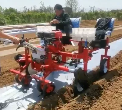 Two-row Self-propelled Vegetable Planter Diesel Powered Anti-slip Wheels High Efficiency for Pepper Tomato Seedling Transplant