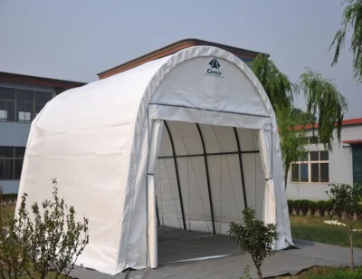Dome Home Car Shelter