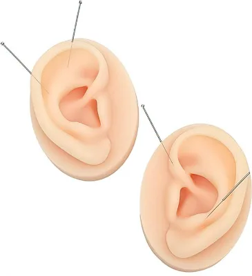 Popular Ear Model One Pair-Flexible Soft Silicone Medical Teaching/Practicing 7.6cm