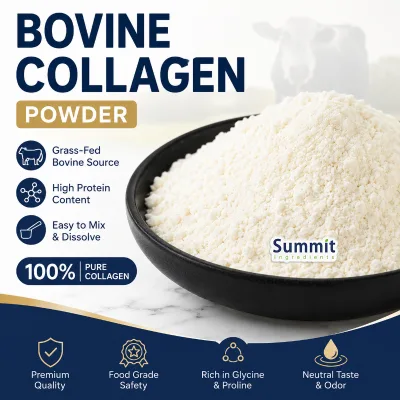 Premium Grade Bulk Bovine Collagen Powder 100% Pure Hydrolyzed Bovine Collagen Peptides Raw Materials for Food Supplements
