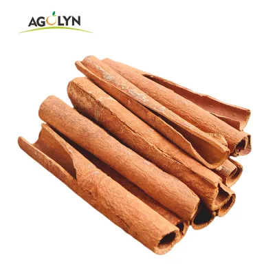 Wholesale Pure Cinnamon From China for Exporter
