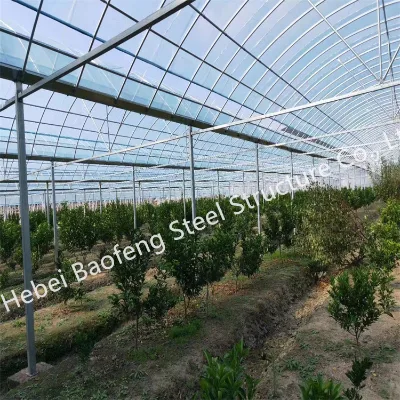 Luxury Hobby Small Greenhouse Garden China Cheap Prefab Winter Pc Sheet Green House for Sale