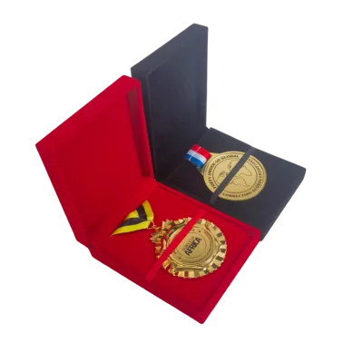 Custom Medals Sports Marathon Dance 3D Medals Sports Gold Metal Award Soccer Judo Jiu Jitsu Karate Taekwondo Medal with Box