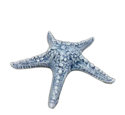 Custom Glazed Ceramic Beach Decor Art Piece Ceramic Starfish