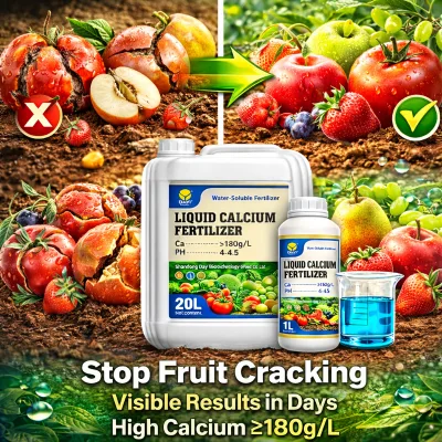 Liquid Calcium Fertilizer for Tomatoes Prevent Blossom End Rot Water Soluble Fertilizer