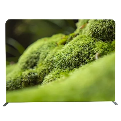 Foldable Aluminum Frame Portable Modular Indoor Backwall Backdrop Photography Studio Background 8ft-20ft Sizes