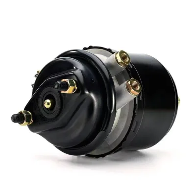 Brake Cylinder Oem 1686019 1519378 0154209218 7421283616 T2424DCP DISC for DAF MB RVI SC Truck