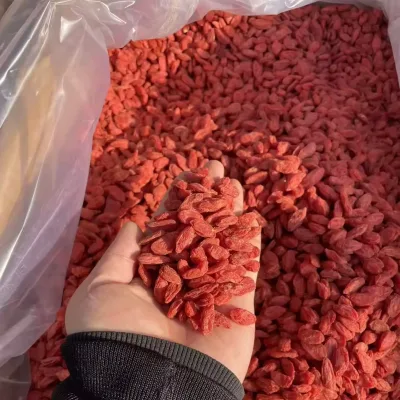 Wholesale Lycium Dried Goji Berries Red Chinese Wolfberry 500G China Cheap Price