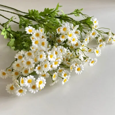 Pet Funeral Supplies Cat Dog Memorial Artificial Dried White Daisy Flowers Coffin Accessories