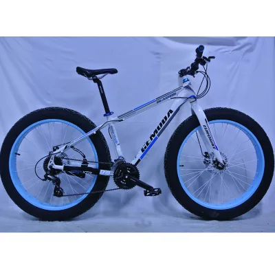 2015 Hot Sale Fat Tyre 24speed Alloy Mountain Bicycle(FP-AMTB15014)